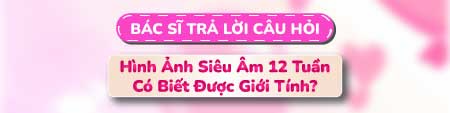 Câu hỏi 1