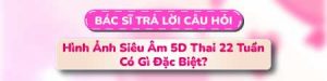 Câu hỏi 2